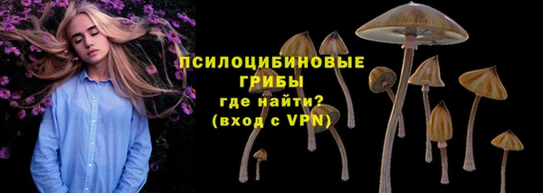 соль ск Алзамай