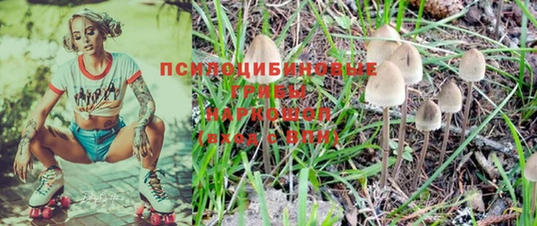 соль ск Алзамай