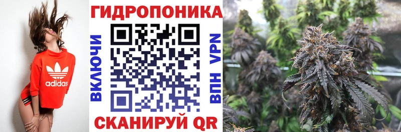 Марихуана Bruce Banner сколько стоит Прохладный